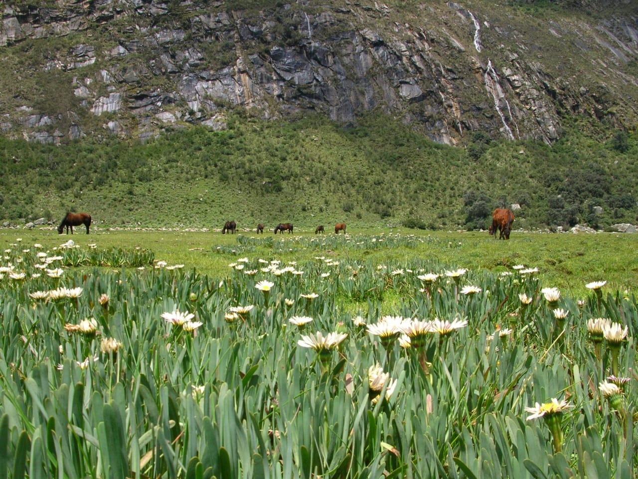 View of the Quilcayhuanca valley during the trek